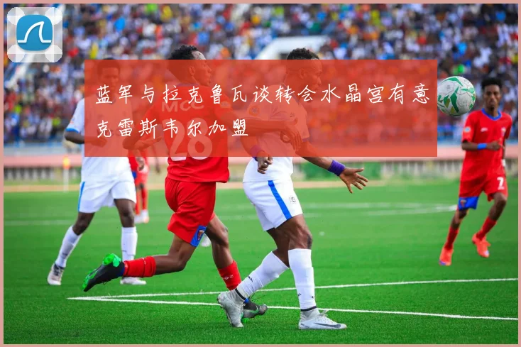 蓝军与拉克鲁瓦谈转会水晶宫有意克雷斯韦尔加盟
