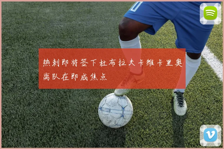 热刺即将签下杜布拉夫卡维卡里奥离队在即成焦点