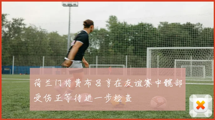 荷兰门将费布吕亨在友谊赛中髋部受伤正等待进一步检查